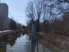 -长白岛森林公园