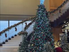 -上海明天广场JW万豪酒店