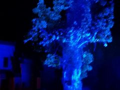 -婺源梦里老家大型山水实景演出