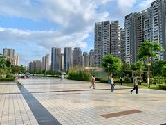 -南方医科大学深圳医院