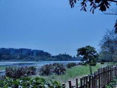 -华侨城湿地公园