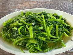 -小杨酒家(华苑小区店)