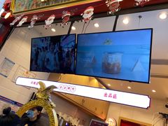 -仙境豆夫(步行街旗舰店)
