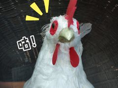 -洞庭土菜馆(天河北总店)