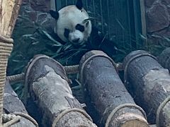 -黔灵山公园