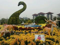 -南昌之星摩天轮