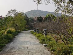 -开福禅寺