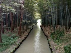-同里国家湿地公园