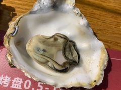 -蚝英雄鲜蚝自助专门店(长楹天街直营店)