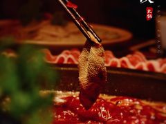 屠宰鲜毛肚-蜀大侠火锅(森兰花园城店)