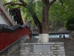 -千佛山风景名胜区-历山院