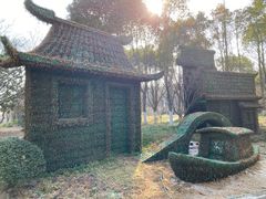 -东平国家森林公园