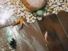 -鹤祥宫·影院足道·SPA连锁(苹果园店)