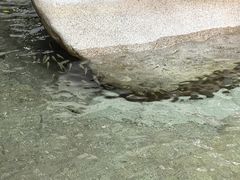 -碧水湾温泉