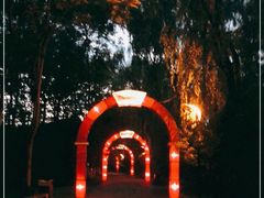 -洛阳市隋唐城遗址植物园