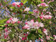 -天津津利华酒店