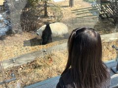 -青藏高原野生动物园