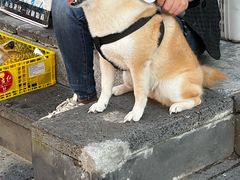 -韩国利尔面包(桂林路店)