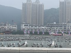 -星海广场
