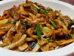 橄榄油炒三种蘑菇-西贝(凯德壹中心店)