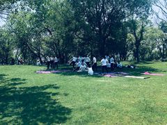 -盘龙城国家考古遗址公园