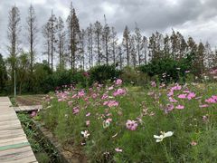 -前小桔亲子创意农场·草莓采摘·露营烧烤