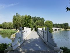 -大兴滨河森林公园