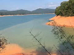 -广州市流溪河国家森林公园