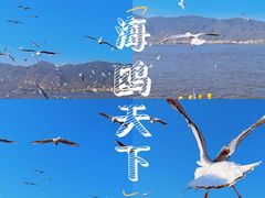 -海埂大坝
