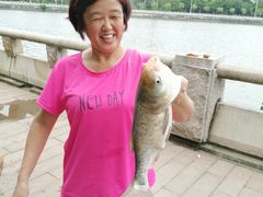 -长洲岛