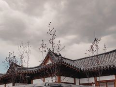 -帽儿山国家森林公园