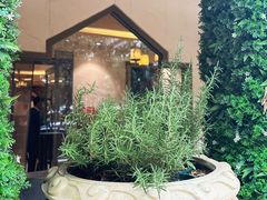 -BRBR叙利亚餐厅(总店)