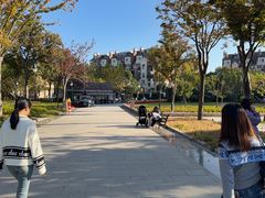 -新江湾城公园