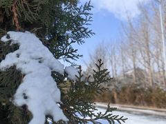 -中国人民抗日战争纪念雕塑园