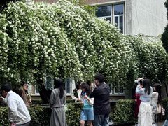 -四川大学(望江校区)