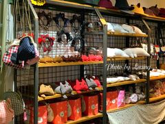 -猫咪博物馆(顶澳仔猫街店)