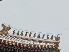 -故宫博物院(故宫)