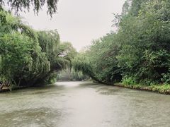 -同里国家湿地公园