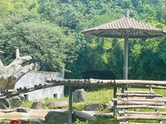 -宁波野生动物园