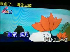 -欢乐酷量贩KTV(万达广场店)