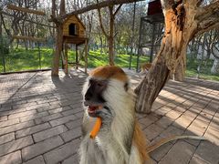 -水上乐园·欢乐世界