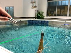 -嘻虾·钓虾工场(东莞总店)