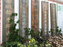 -羚羊峡古栈道森林公园