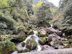 -青城山