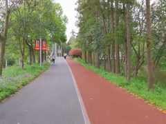 -上海长兴岛郊野公园