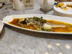-老绍兴养和饭店(向阳不夜城店)