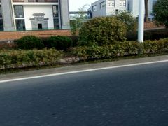-灵山景区梯田