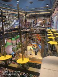 -卡通尼·Safari非洲探索乐园·生日会(金桥国际商业广场店)