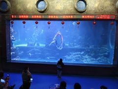 -无锡海洋馆