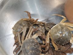 -川锅·火锅·烤肉自助餐厅